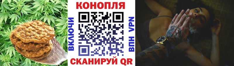 Cannafood конопля  Искитим 