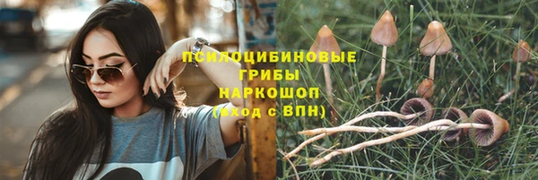MESCALINE Алзамай