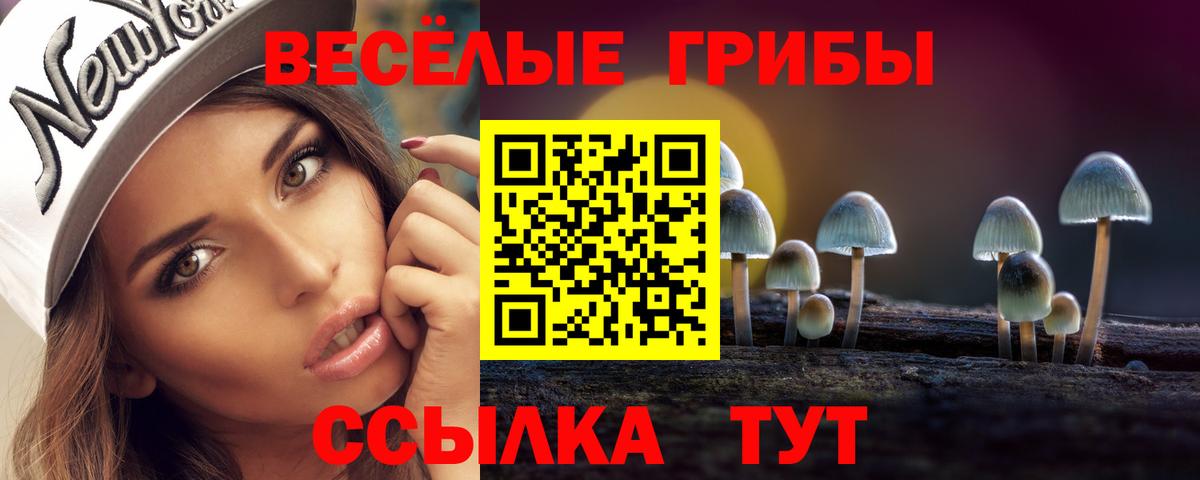 Искитим  Галлюциногенные грибы Magic Shrooms  Вход с VPN 